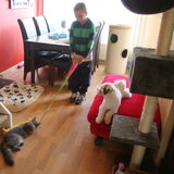 Spelen met Liam