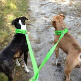Foto van K.elly->T.yson&K.ena