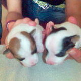 lizzie en sofie