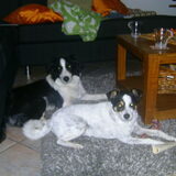 Saampies lekker relaxen!