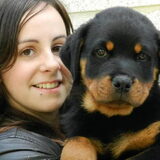 Samen met Pluto, 1 van de 3 Rottweiler puppy's