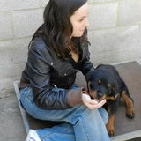 Foto van Melissa, Dempsey, Taiko, Minos & *Nina*