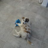 Foto van Vivian   <3    Sem