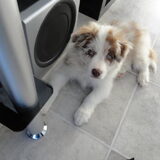 Foto van Vivian   <3    Sem