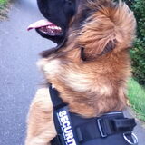 Foto van <3 Ayla&Jara <3