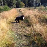 aan de wandel in de ardennen :D