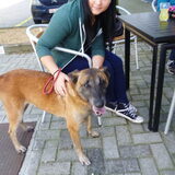 lieve zina!