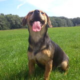Lekker in het Amsterdamse bos!!