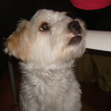 Foto van debbie