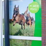 Foto van De Mecheltjes clan