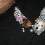 mijn cutiees