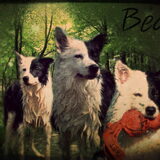 beau bewerkt