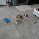 Foto van Vivian   <3    Sem