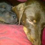 Lief!