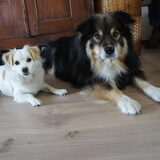 Jut en Jul