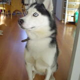 Luna´s papa