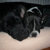 Ik was ook Bony's vriendin.