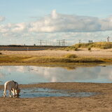 Wat is het strand toch groot..