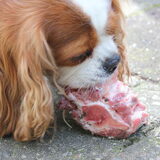 Smaakt goed ...