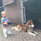 Kom nou mee boef
