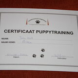 Diploma puppycurus @ 27 weken