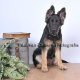 fotoshoot nala