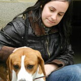 Met Dino