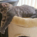 Even relaxen!
