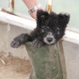 Foto van Annemieke en Elmo