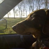 Prinsesje on the Road