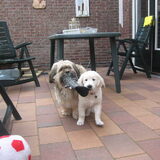 Foto van Renate