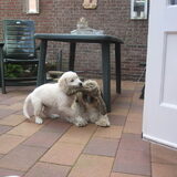 Foto van Renate