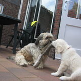 Barney en Mitch
