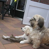 Mitch en Barney