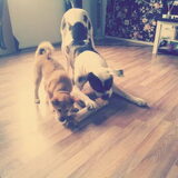 Foto van esmee