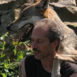 Een van mijn vrienden. Dit is Mato en europese wolf.