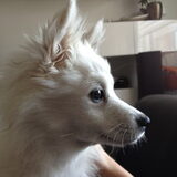 Foto van Amigo en K.C.