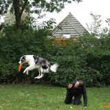 Foto van peggy