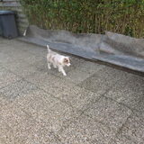 Foto van Vivian   <3    Sem