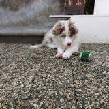 Foto van Vivian   <3    Sem