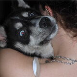 Foto van Kelly (L) Quila (L) Zaza