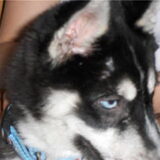 Foto van Kelly (L) Quila (L) Zaza