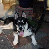 Foto van Kelly (L) Quila (L) Zaza