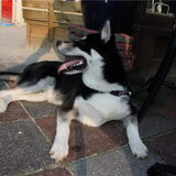 Foto van Kelly (L) Quila (L) Zaza