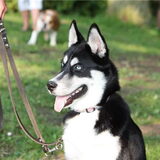 Foto van Kelly (L) Quila (L) Zaza