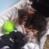 Lekker spelen in zn mand
