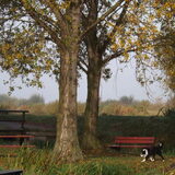 Foto van Puck & Fenrir