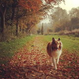 Foto van Carmen & Levi