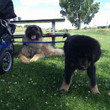 had je wat !!!