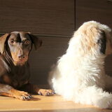 Camila en Sammy